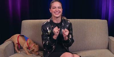 Secrets & Puppy Kryptonite